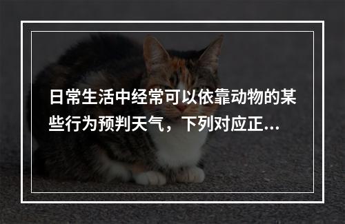 日常生活中经常可以依靠动物的某些行为预判天气，下列对应正确的