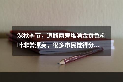 深秋季节，道路两旁堆满金黄色树叶非常漂亮，很多市民觉得分外美