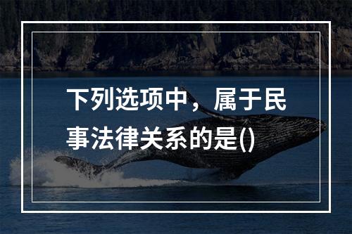 下列选项中，属于民事法律关系的是()