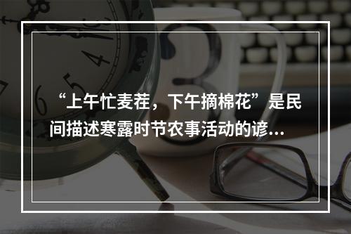 “上午忙麦茬，下午摘棉花”是民间描述寒露时节农事活动的谚语。