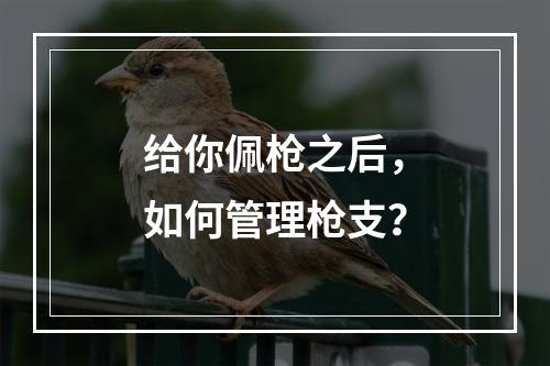 给你佩枪之后，如何管理枪支？