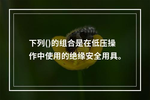 下列()的组合是在低压操作中使用的绝缘安全用具。