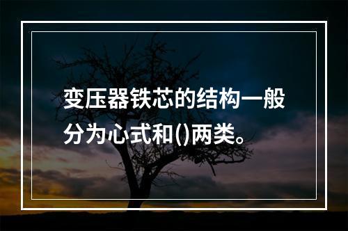 变压器铁芯的结构一般分为心式和()两类。