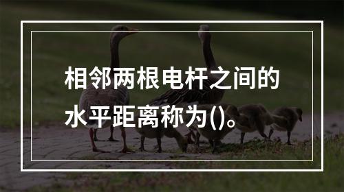 相邻两根电杆之间的水平距离称为()。