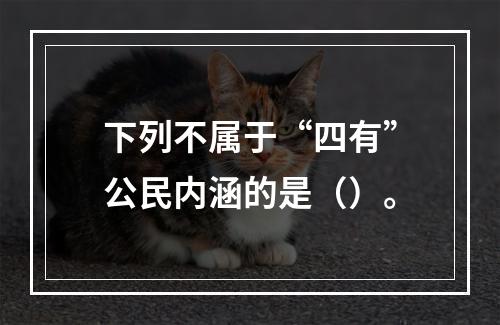 下列不属于“四有”公民内涵的是（）。