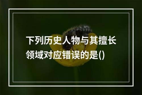 下列历史人物与其擅长领域对应错误的是()