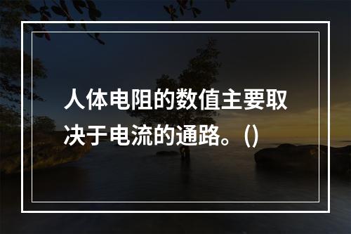 人体电阻的数值主要取决于电流的通路。()