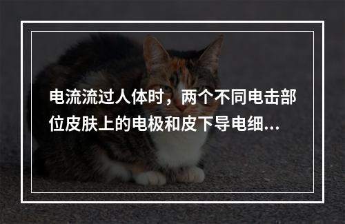 电流流过人体时，两个不同电击部位皮肤上的电极和皮下导电细胞之