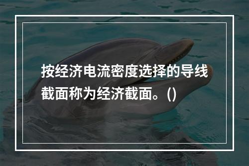 按经济电流密度选择的导线截面称为经济截面。()