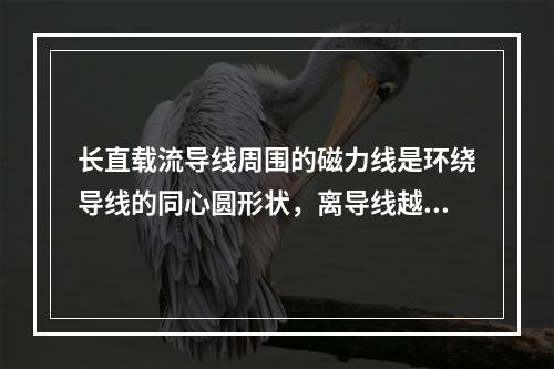 长直载流导线周围的磁力线是环绕导线的同心圆形状，离导线越近，