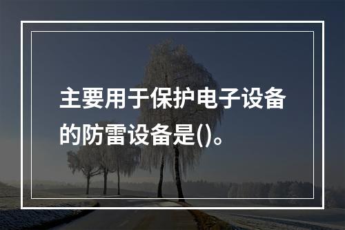 主要用于保护电子设备的防雷设备是()。