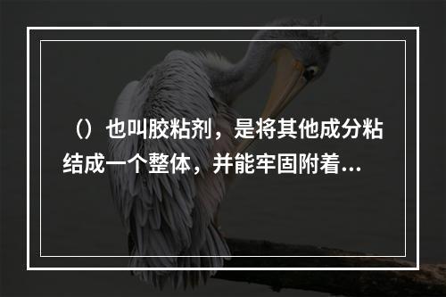 （）也叫胶粘剂，是将其他成分粘结成一个整体，并能牢固附着在被