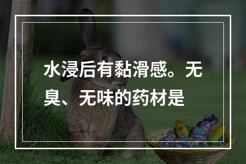 水浸后有黏滑感。无臭、无味的药材是