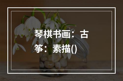 琴棋书画：古筝：素描()