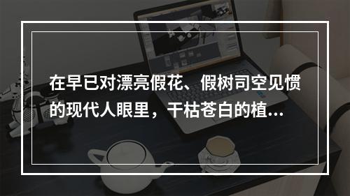 在早已对漂亮假花、假树司空见惯的现代人眼里，干枯苍白的植物标