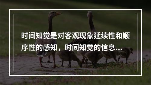 时间知觉是对客观现象延续性和顺序性的感知，时间知觉的信息，既