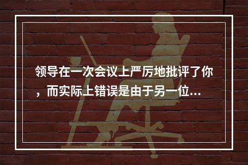 领导在一次会议上严厉地批评了你，而实际上错误是由于另一位同事