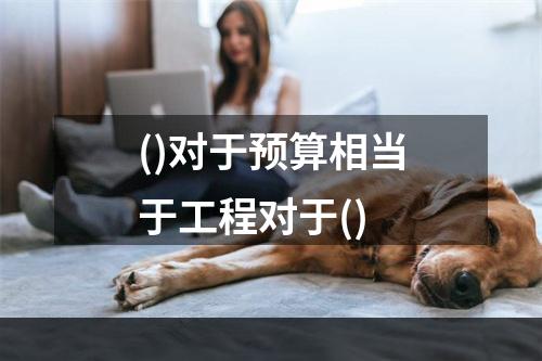 ()对于预算相当于工程对于()