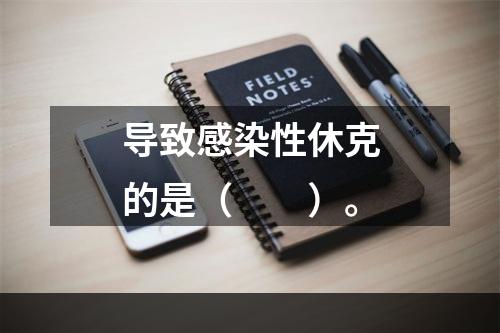 导致感染性休克的是（　　）。