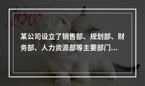 某公司设立了销售部、规划部、财务部、人力资源部等主要部门，当