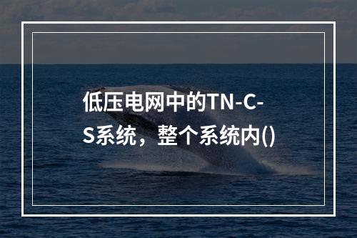 低压电网中的TN-C-S系统，整个系统内()