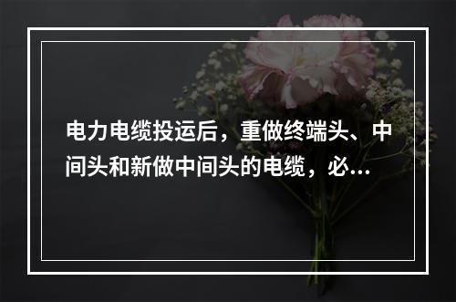 电力电缆投运后，重做终端头、中间头和新做中间头的电缆，必须核