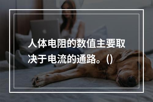 人体电阻的数值主要取决于电流的通路。()