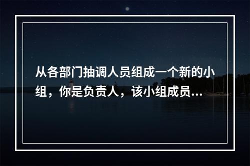 从各部门抽调人员组成一个新的小组，你是负责人，该小组成员有许