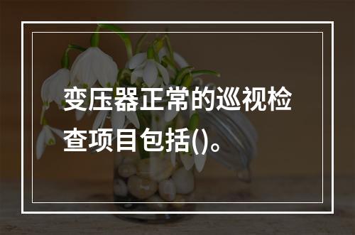 变压器正常的巡视检查项目包括()。