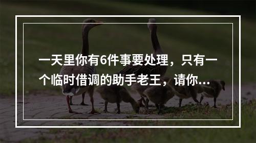 一天里你有6件事要处理，只有一个临时借调的助手老王，请你排一