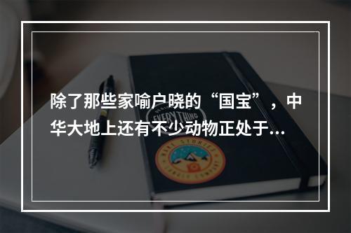 除了那些家喻户晓的“国宝”，中华大地上还有不少动物正处于或正