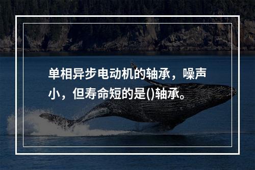 单相异步电动机的轴承，噪声小，但寿命短的是()轴承。