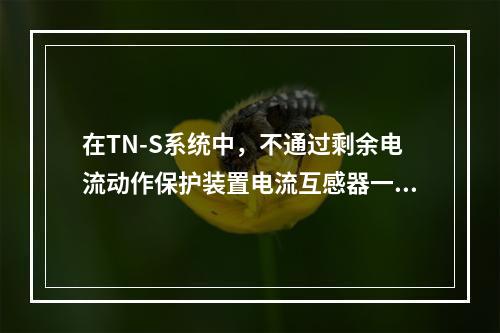 在TN-S系统中，不通过剩余电流动作保护装置电流互感器一次绕