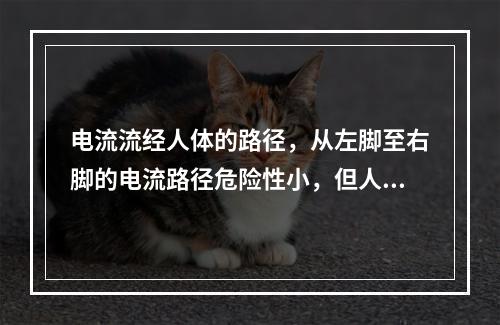 电流流经人体的路径，从左脚至右脚的电流路径危险性小，但人体可