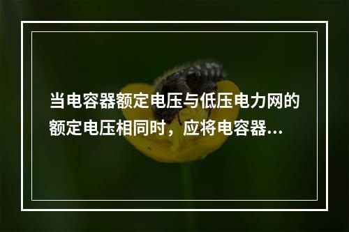 当电容器额定电压与低压电力网的额定电压相同时，应将电容器的外