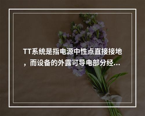 TT系统是指电源中性点直接接地，而设备的外露可导电部分经各自