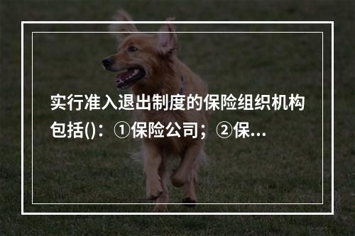 实行准入退出制度的保险组织机构包括()：①保险公司；②保险资