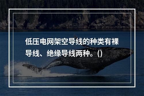 低压电网架空导线的种类有裸导线、绝缘导线两种。()