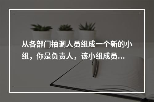 从各部门抽调人员组成一个新的小组，你是负责人，该小组成员有许