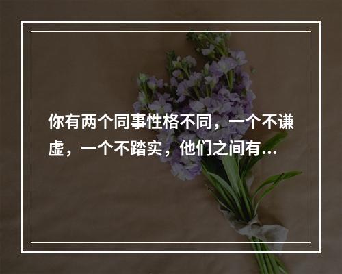 你有两个同事性格不同，一个不谦虚，一个不踏实，他们之间有矛盾