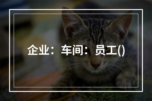 企业：车间：员工()