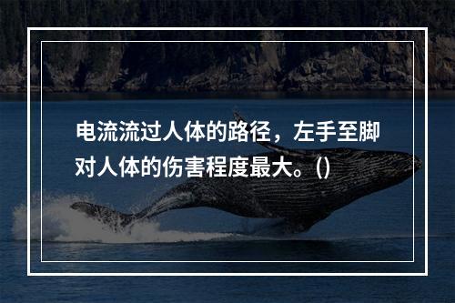 电流流过人体的路径，左手至脚对人体的伤害程度最大。()