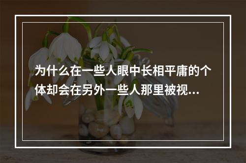 为什么在一些人眼中长相平庸的个体却会在另外一些人那里被视若天