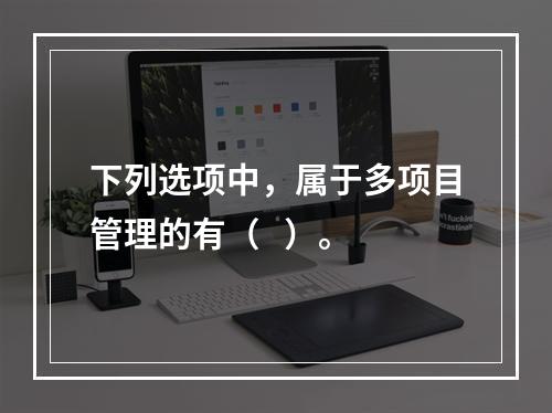 下列选项中，属于多项目管理的有（   ）。