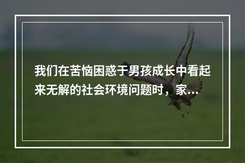 我们在苦恼困惑于男孩成长中看起来无解的社会环境问题时，家庭教