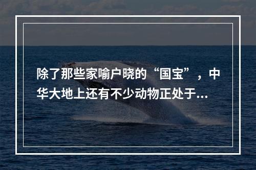 除了那些家喻户晓的“国宝”，中华大地上还有不少动物正处于或正