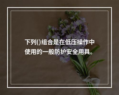 下列()组合是在低压操作中使用的一般防护安全用具。