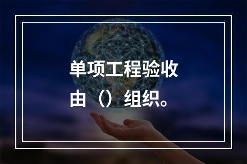 单项工程验收由（）组织。