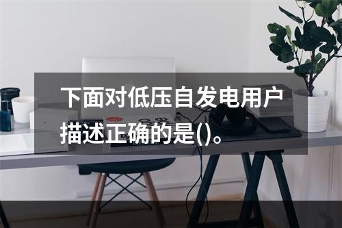 下面对低压自发电用户描述正确的是()。