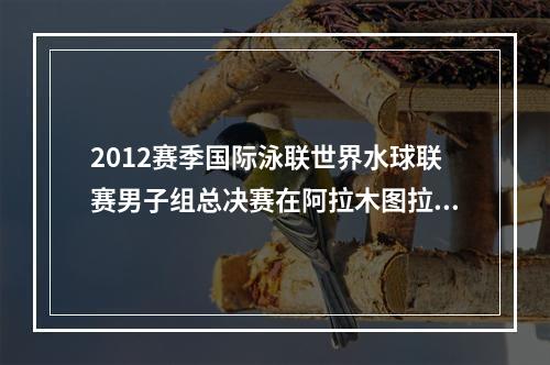 2012赛季国际泳联世界水球联赛男子组总决赛在阿拉木图拉开战